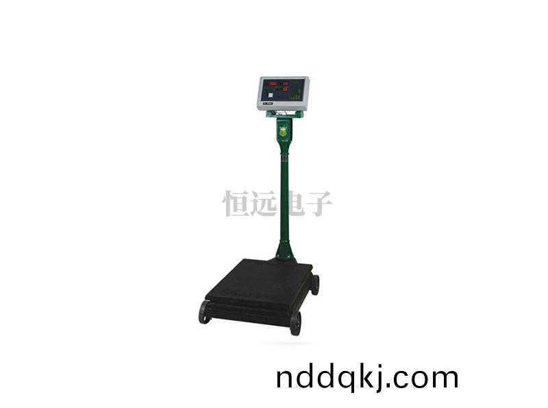 HY-電(dian)子檯秤(cheng)